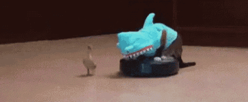 a cat wearing a shark costume is standing next to a robot vacuum cleaner .