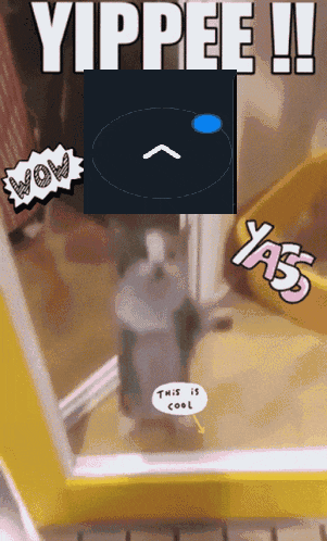 a picture of a cat with the words " yippee " written on it