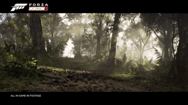 a poster for forza horizon 5 showing a forest