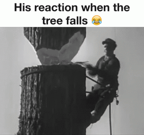 Tree Falls His Reaction GIF - Tree Falls His Reaction Axe GIFs