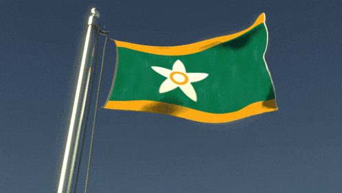a green and yellow flag with a white star in the middle