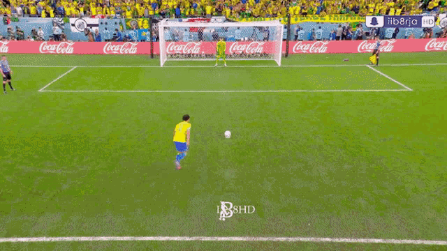 a soccer game is being shown on lib8rjd