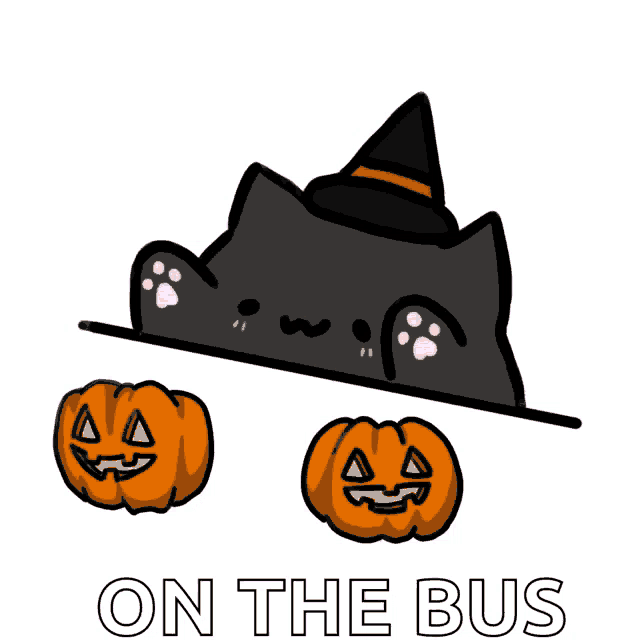 a black cat wearing a witch hat behind two pumpkins with the words on the bus below it