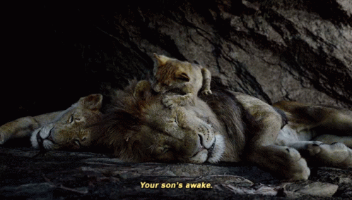 The Lion King Sarabi GIF - The Lion King Sarabi Your Sons Awake GIFs