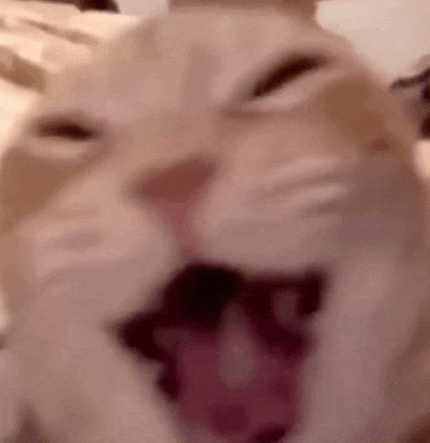 a close up of a cat with its mouth open and its tongue out .