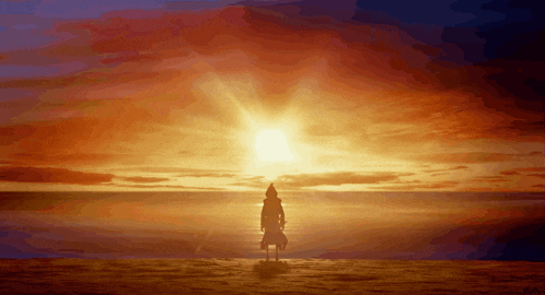 a person standing on a beach at sunset