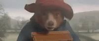 Paddington Bear GIF - Paddington Bear In A Hurry GIFs