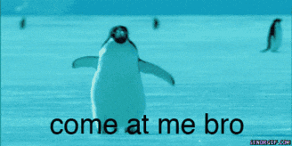 a picture of a penguin with the words come at me bro