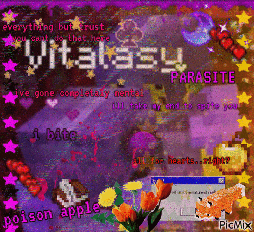a colorful collage with the words vitalasy parasite written on it