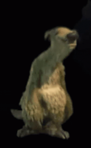 Dancing Sloth GIF - Dancing Sloth GIFs