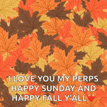 a picture of leaves that says i love you my pers happy sunday and happy fall y'all