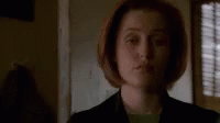 Scully Facepalm GIF - Scully Facepalm Gillian Anderson GIFs