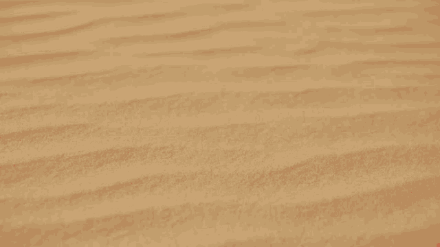 the word eli rose is written in red letters on a sandy surface