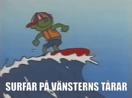 Skurt Surfar Va Vansterns Tarar GIF - Skurt Surfar Va Vansterns Tarar Svenskar GIFs