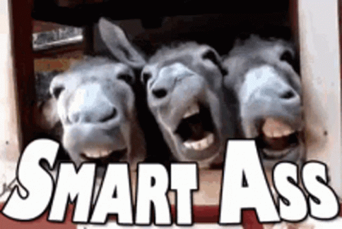 Smart Ass Donkey GIF - Smart Ass Donkey Twitch Lips GIFs