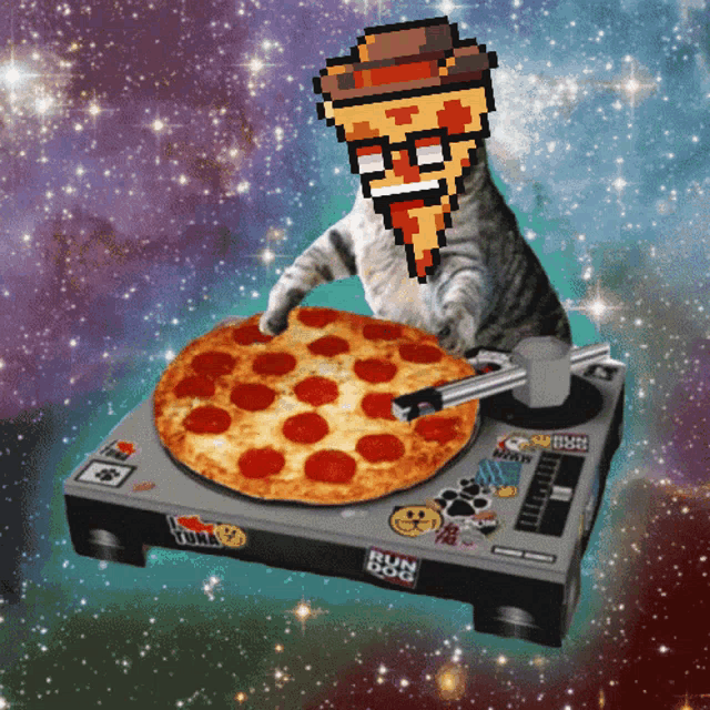 a cat is holding a slice of pepperoni pizza on a turntable that says run dog