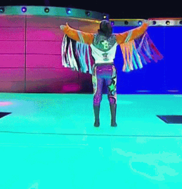 a wrestler with the letter b on his back is standing on a stage
