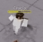 a blurred image of a person holding a sword in a video game with the name crucio on it .