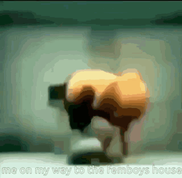 a blurred image of a person with the words me on my way to the femboys house
