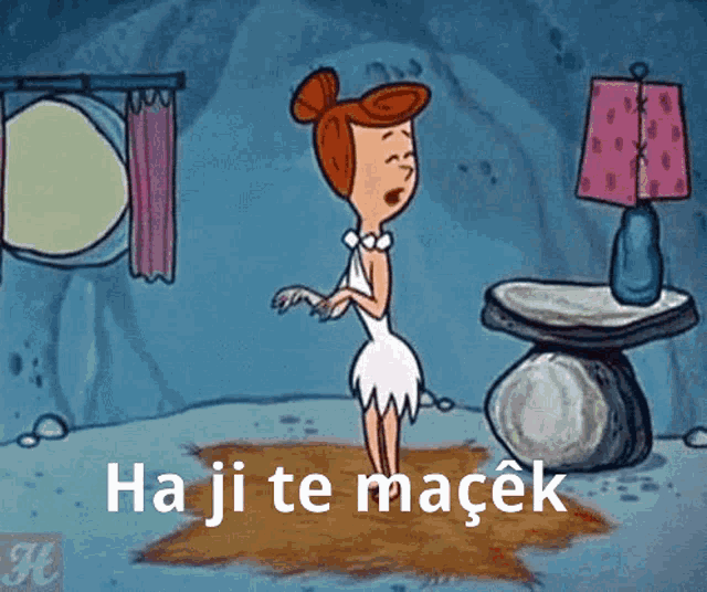 a cartoon of a woman standing next to a lamp with the words " ha ji te macek "