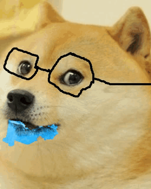 a close up of a dog wearing glasses with a blue swirl in its mouth