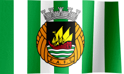 a green and white striped flag with the letters b.a.f.c on it