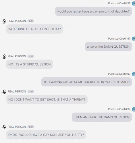a screenshot of a conversation between real person and punctualcoat1497