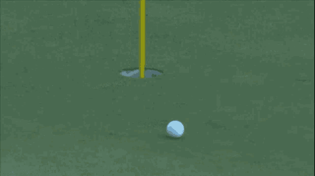 Tiger Woods GIF - Tiger Woods Golf GIFs