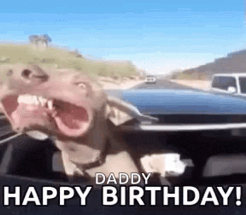Happy Birthday Dog GIF - Happy Birthday Dog Drive GIFs