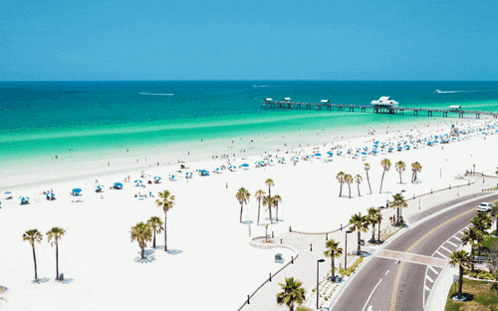 a beach with palm trees and a pier in the background