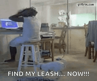 Funny Dog Getting Knocked Down By Dog GIF - Funny Dog Getting Knocked Down By Dog When Your Dog Dont Want You To Work GIFs
