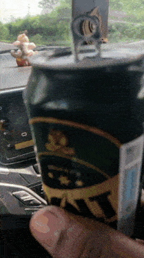 a person is holding a can of beer that says " nt " on it