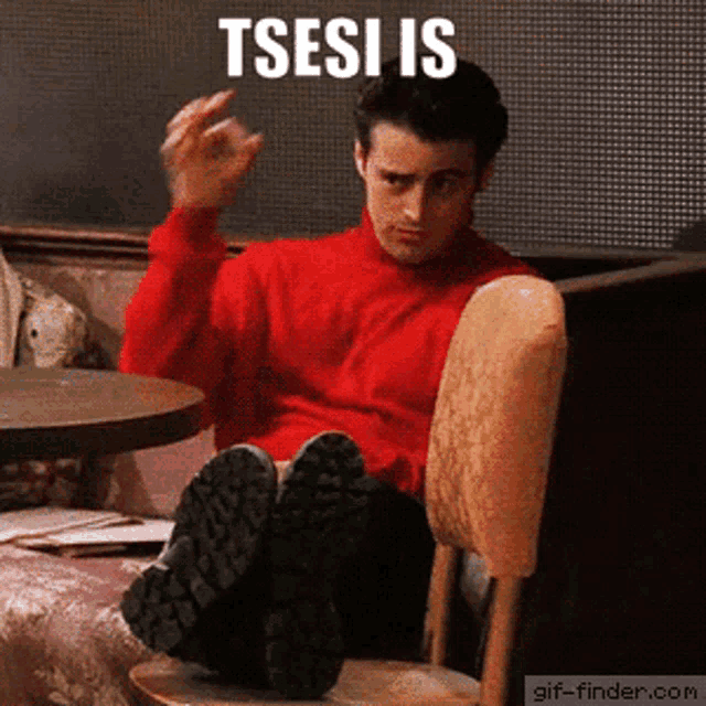 a man in a red sweater sits in a chair with his feet up and says " tsesi is " in white letters