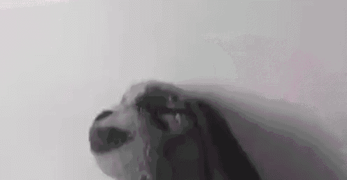 a black and white photo of a person 's face behind a foggy wall .