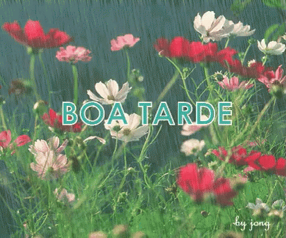 Boa Tarde Flores Do Campo GIF - Boatarde Floresdocampo Chuvinha GIFs