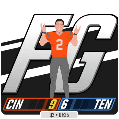 Nfl National Football League GIF