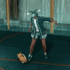 a man in a bunny hat is playing with a cat