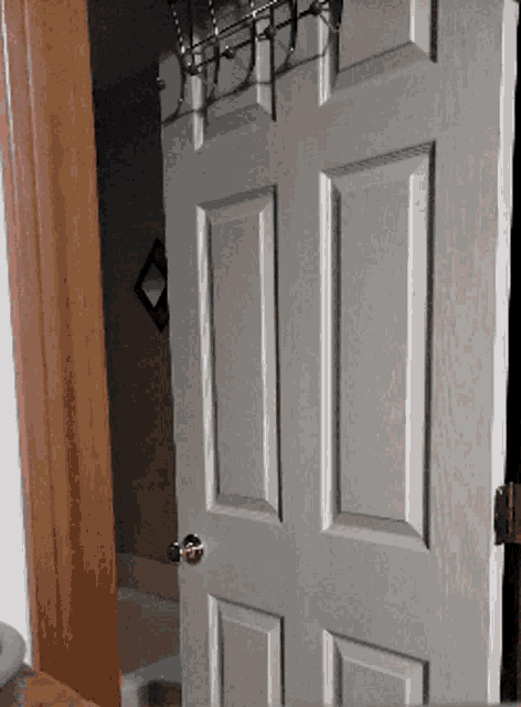 a white door in a bathroom with hooks hanging on it