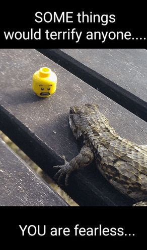 a lizard is laying on a wooden table next to a yellow lego head