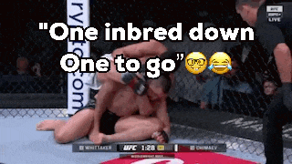 two men are wrestling in a cage with the words one inbred down one to go