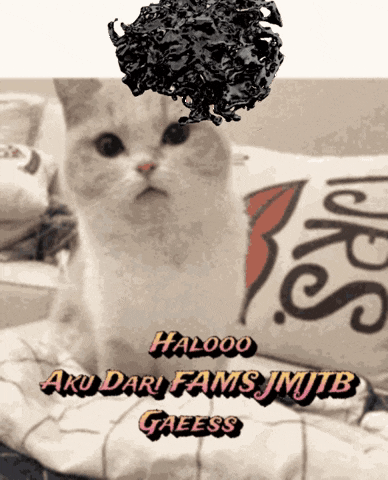 a picture of a cat with the words halooo aku dari fams jmjb gaeess on the bottom