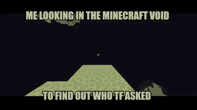 a meme that says me looking in the minecraft void