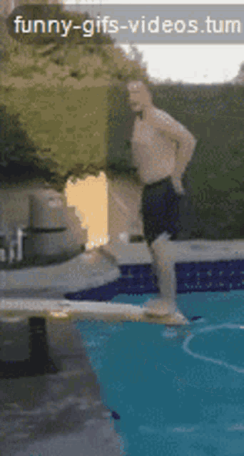 Richard Swimming GIF - Richard Swimming Jumping GIFs
