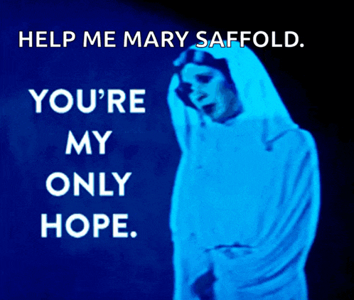 a poster that says help me mary safford on it