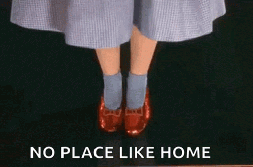 Shoes Dorothy GIF