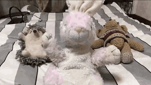 Bunny Stuffed Toys GIF - Bunny Stuffed Toys GIFs
