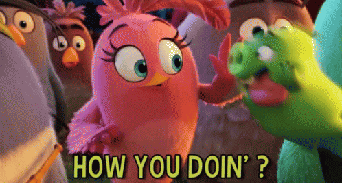 How You Doin? GIF - Angry Birds Movie How You Doin Catch GIFs