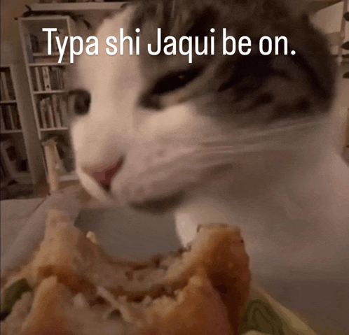 a cat is looking at a piece of food with the words typa shi jaqui be on above it