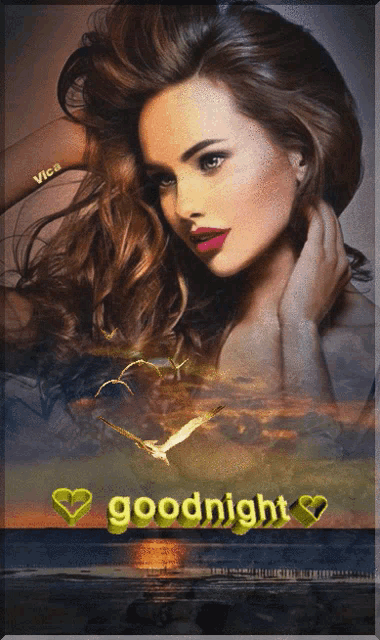a picture of a woman with the words " goodnight " on it