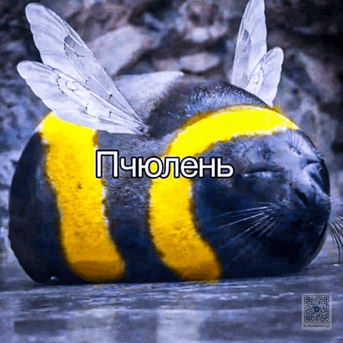 a seal that has been turned into a bee with russian writing